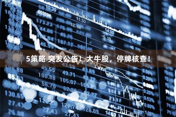 5策略 突发公告！大牛股，停牌核查！