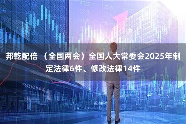邦乾配倍 （全国两会）全国人大常委会2025年制定法律6件、修改法律14件