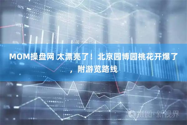 MOM操盘网 太漂亮了！北京园博园桃花开爆了，附游览路线