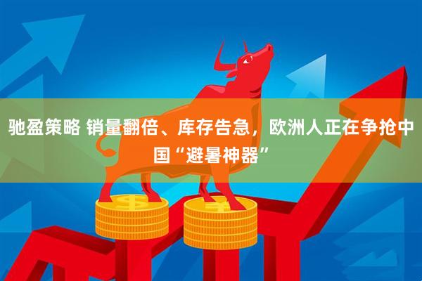 驰盈策略 销量翻倍、库存告急，欧洲人正在争抢中国“避暑神器”