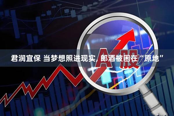 君润宜保 当梦想照进现实, 郎酒被困在“原地”